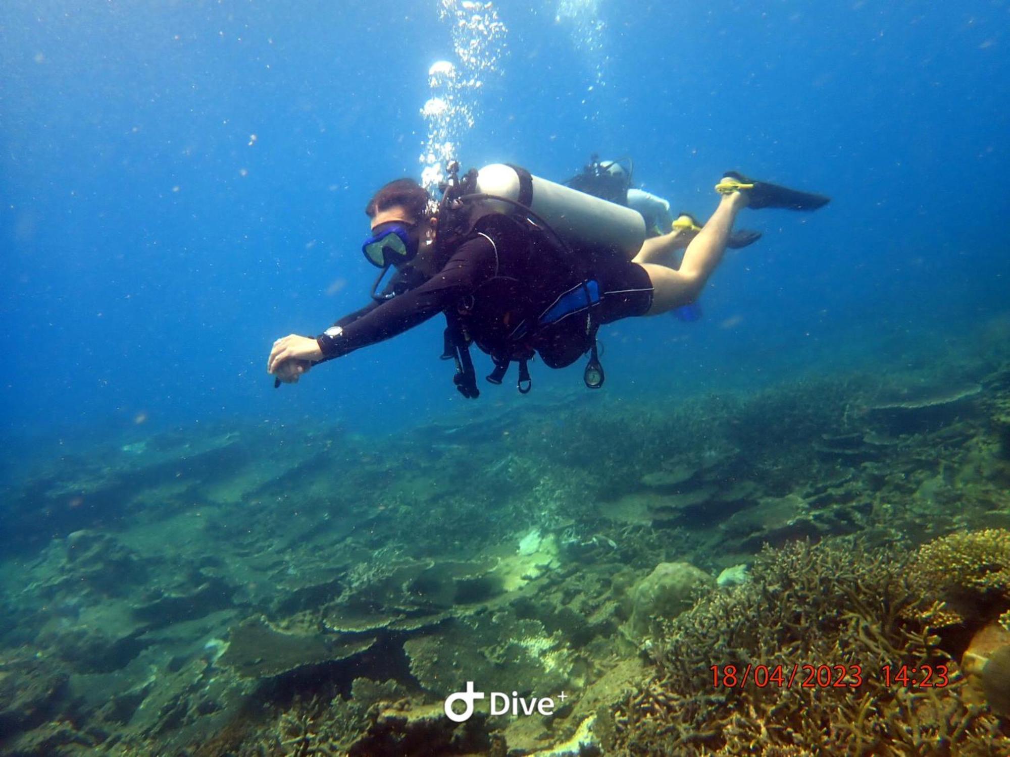 Con Dao Backpacker - Loco Camping Chi Khu Co Ong Ngoại thất bức ảnh
