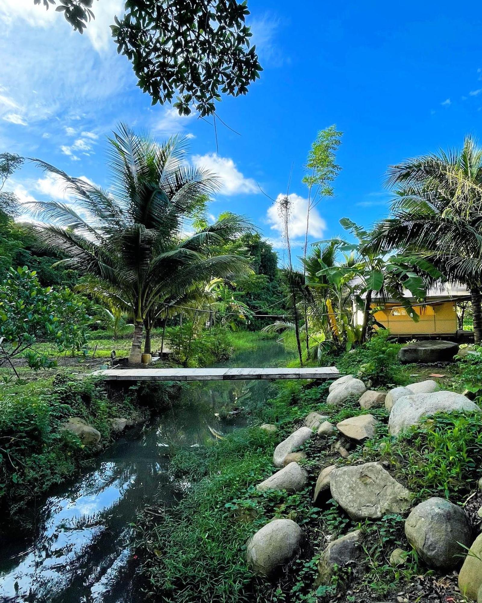 Con Dao Backpacker - Loco Camping Chi Khu Co Ong Ngoại thất bức ảnh