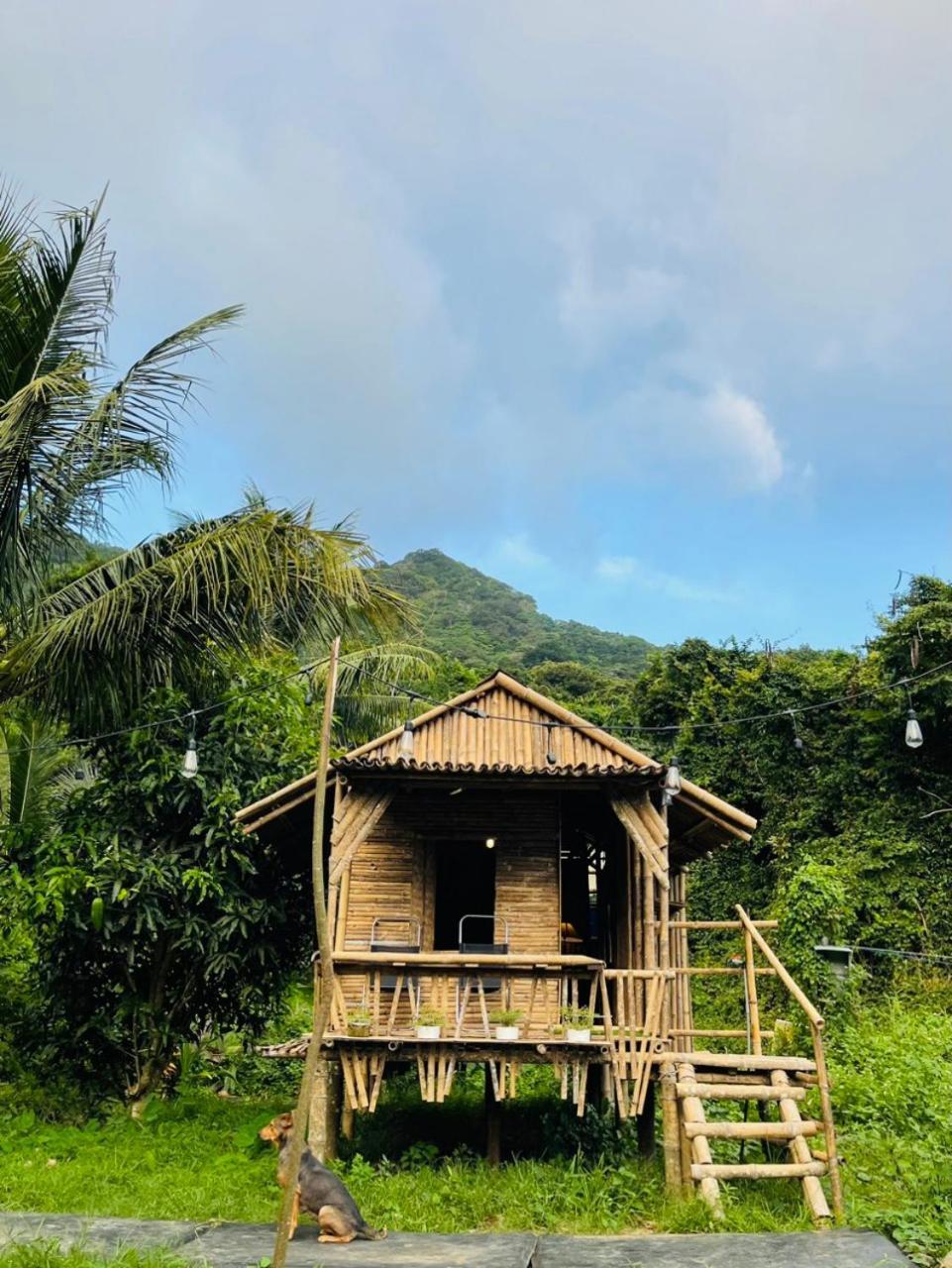 Con Dao Backpacker - Loco Camping Chi Khu Co Ong Ngoại thất bức ảnh